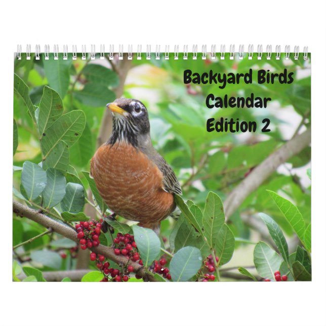 Backyard Birds Calendar - Edition 2 (Cover)