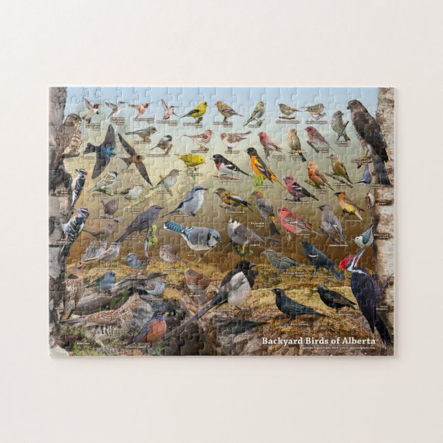 Backyard Birds of Alberta Jigsaw Puzzle (Horizontal)