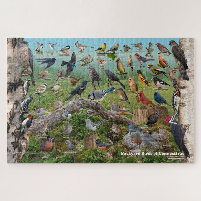Backyard Birds of Connecticut Jigsaw Puzzle (Horizontal)
