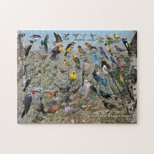 Backyard Birds of Eastern Oregon Jigsaw Puzzle (Horizontal)