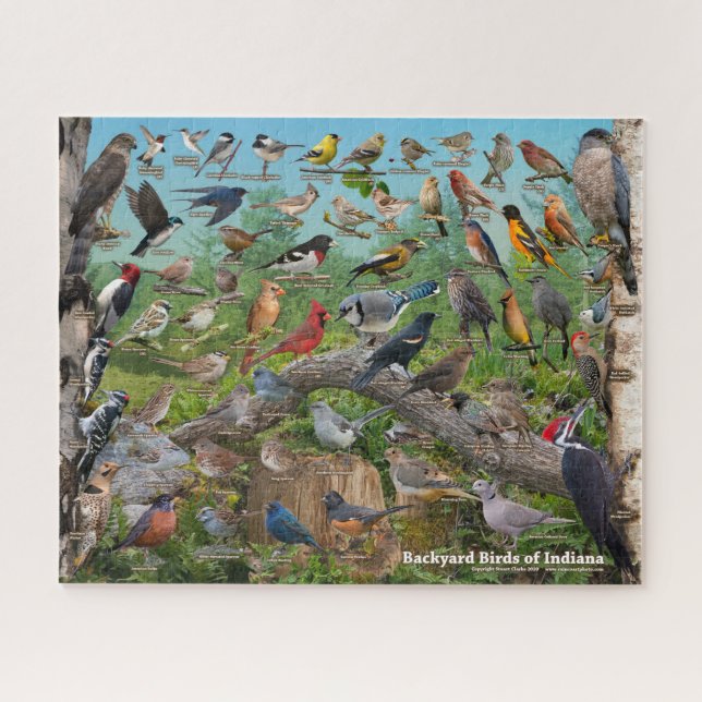 Backyard Birds of Indiana Puzzle (Horizontal)