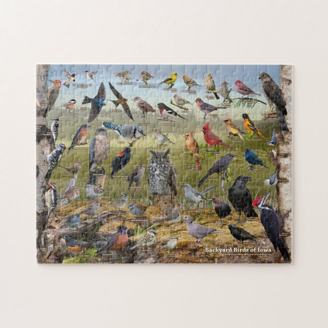Backyard Birds of Iowa Jigsaw Puzzle (Horizontal)