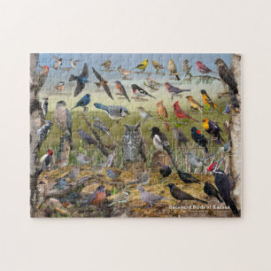 Backyard Birds of Kansas Jigsaw Puzzle