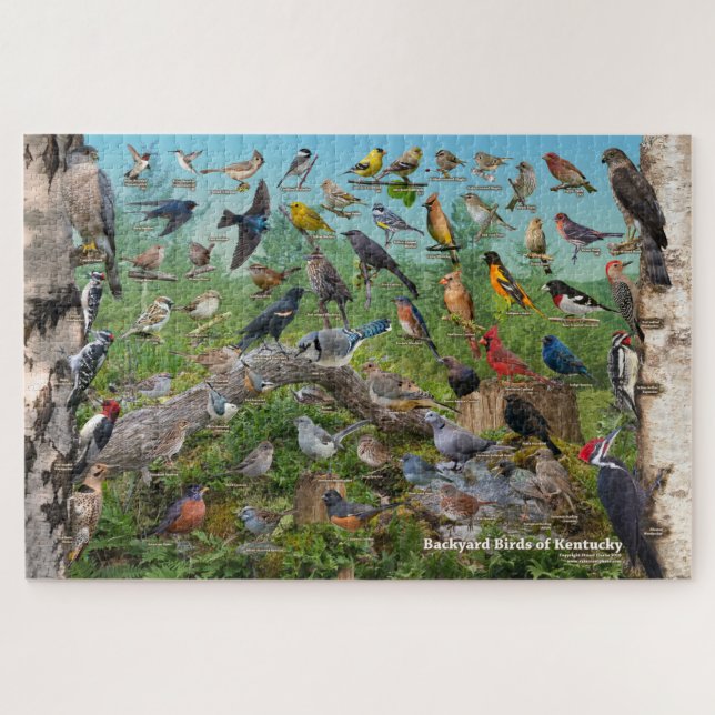Backyard Birds of Kentucky Jigsaw Puzzle (Horizontal)