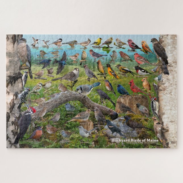 Backyard Birds of Maine Jigsaw Puzzle (Horizontal)