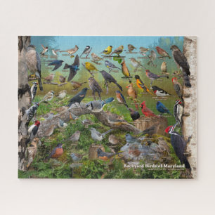 Backyard Birds of Maryland Jigsaw Puzzle