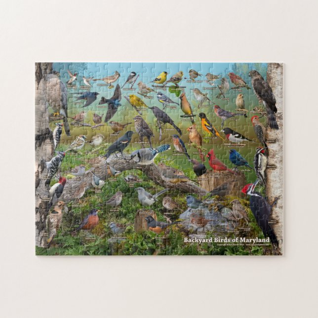 Backyard Birds of MAryland Jigsaw Puzzle (Horizontal)
