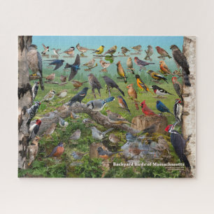 Backyard Birds of Massachusetts Jigsaw Puzzle