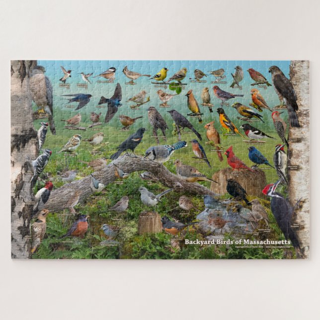 Backyard Birds of Massachusetts Jigsaw Puzzle (Horizontal)
