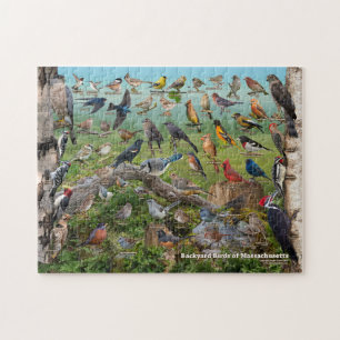 Backyard birds of Massachusetts Jigsaw Puzzle