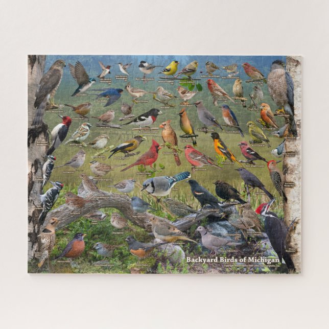 Backyard Birds of Michigan Jigsaw Puzzle (Horizontal)