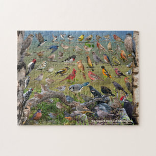Backyard Birds of Michigan Puzzle