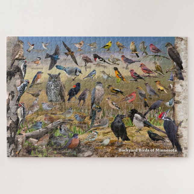 Backyard Birds of Minnesota Jigsaw Puzzle (Horizontal)