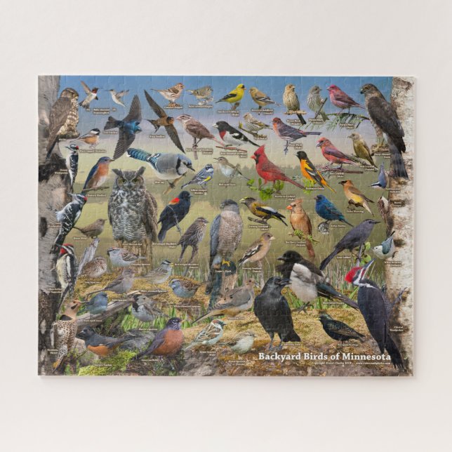 Backyard Birds of Minnesota Jigsaw Puzzle (Horizontal)
