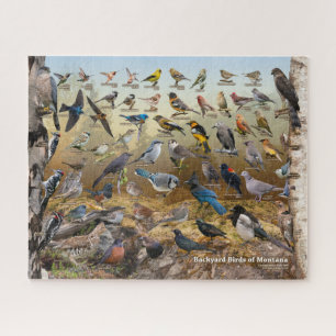 Backyard Birds of Montana Jigsaw Puzzle