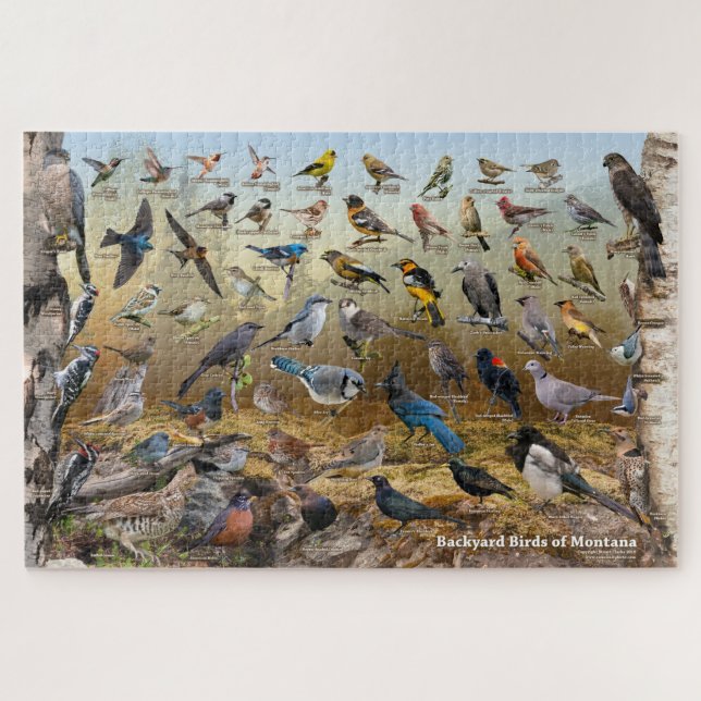 Backyard Birds of Montana Jigsaw Puzzle (Horizontal)
