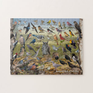 Backyard Birds of Nebraska Jigsaw Puzzle