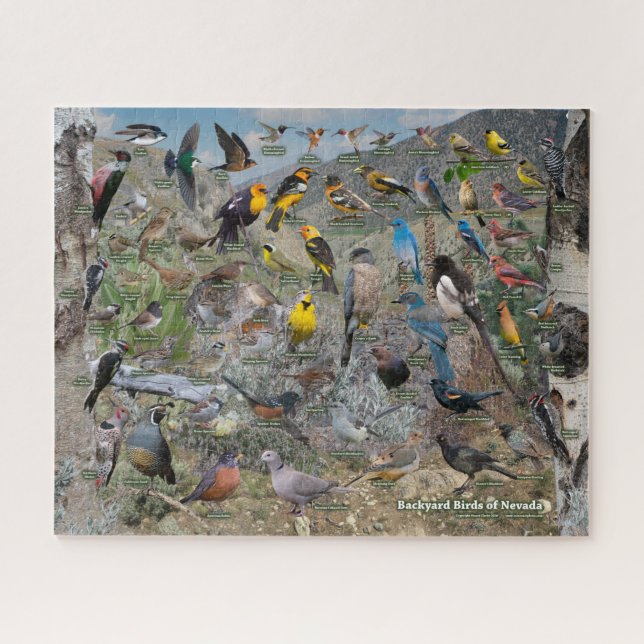 Backyard Birds of Nevada Jigsaw Puzzle (Horizontal)