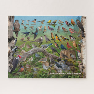 Backyard Birds of New Brunswick Jigsaw Puzzle