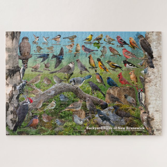 Backyard Birds of New Brunswick Jigsaw Puzzle (Horizontal)