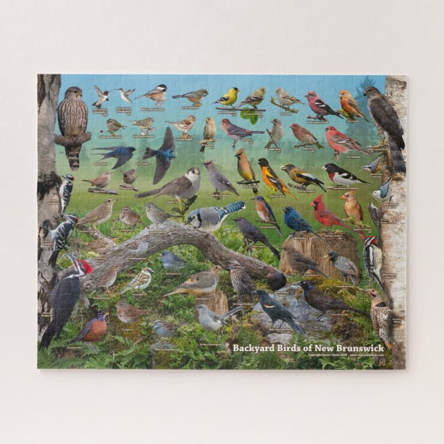 Backyard Birds of New Brunswick Puzzle (Horizontal)