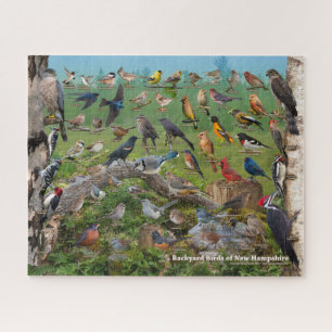 Backyard Birds of New Hampshire Jigsaw Puzzle
