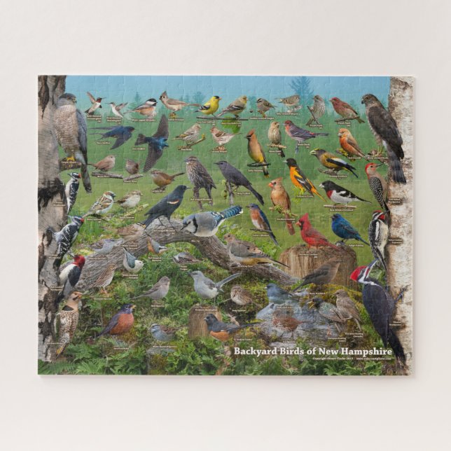 Backyard Birds of New Hampshire Jigsaw Puzzle (Horizontal)