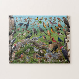 Backyard Birds of New York Jigsaw Puzzle