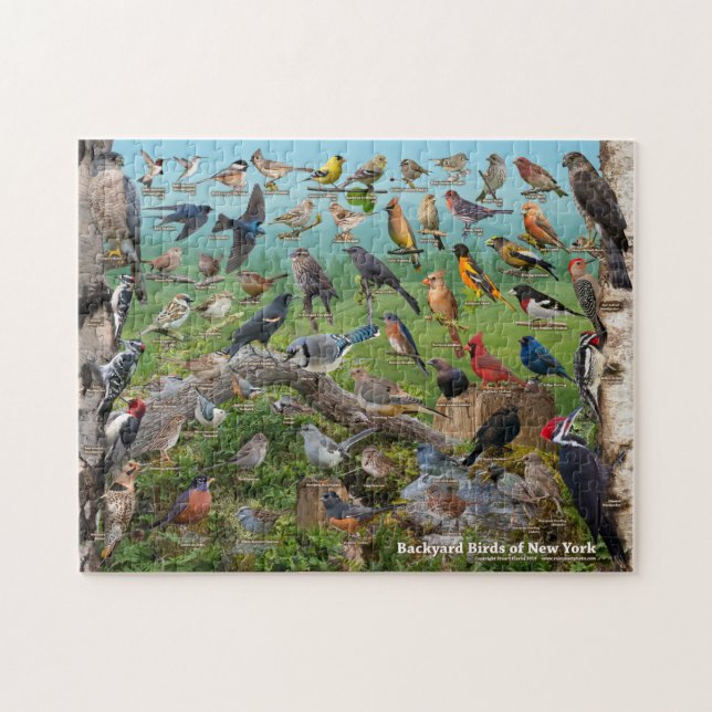 Backyard Birds of New York Jigsaw Puzzle (Horizontal)