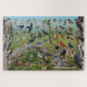 Backyard Birds of New York Jigsaw Puzzle
