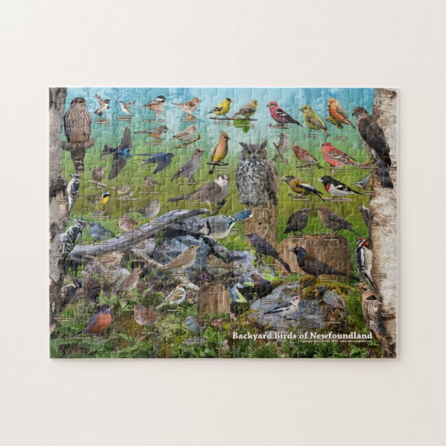 Backyard Birds of Newfoundland Jigsaw Puzzle (Horizontal)