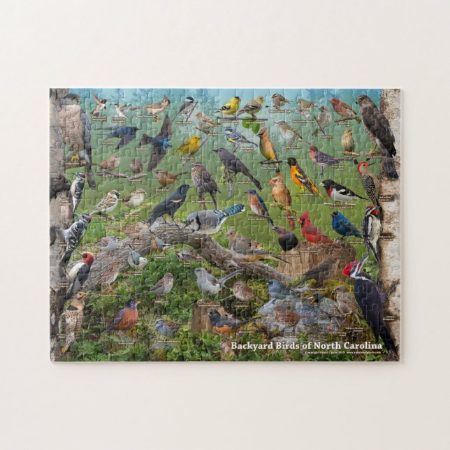 Backyard Birds of North Carolina Jigsaw Puzzle (Horizontal)
