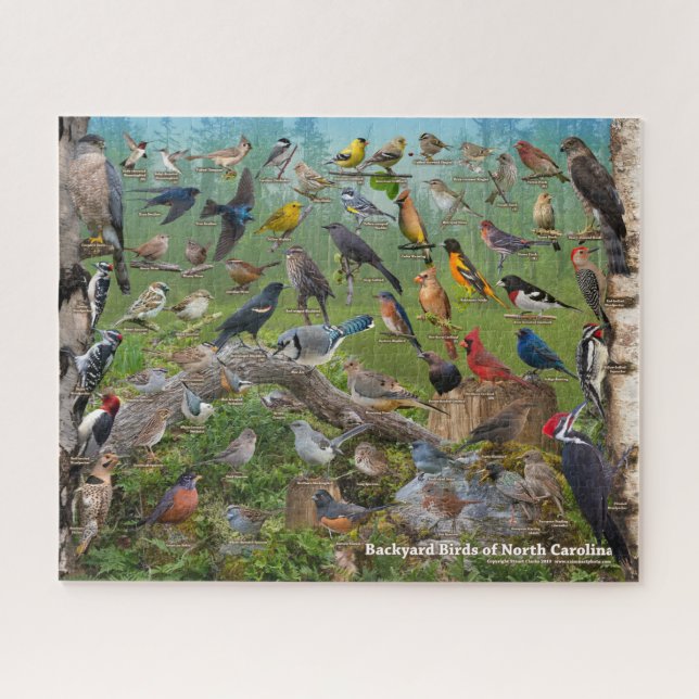 Backyard Birds of North Carolina Jigsaw Puzzle (Horizontal)