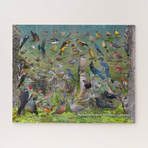 Backyard Birds of Northern California Jigsaw Puzzle