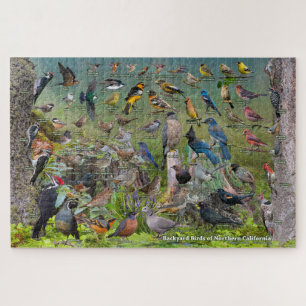 Backyard Birds of Northern California Jigsaw Puzzle