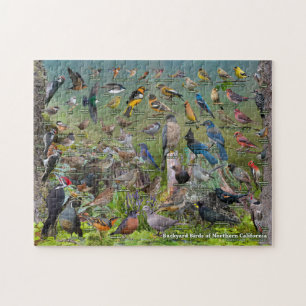 Backyard Birds of Northern California Jigsaw Puzzle