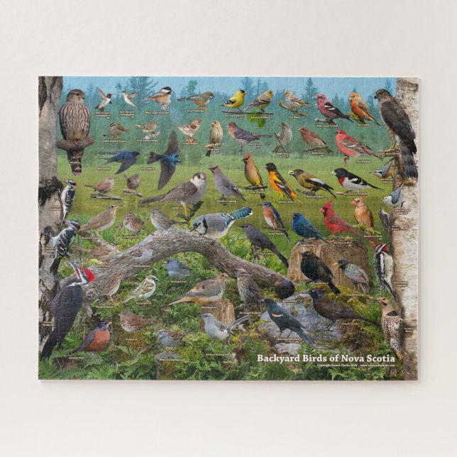 Backyard Birds of Nova Scotia Puzzle (Horizontal)