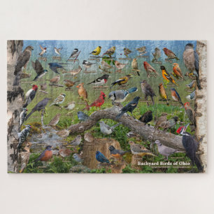 Backyard Birds of Ohio Puzzle