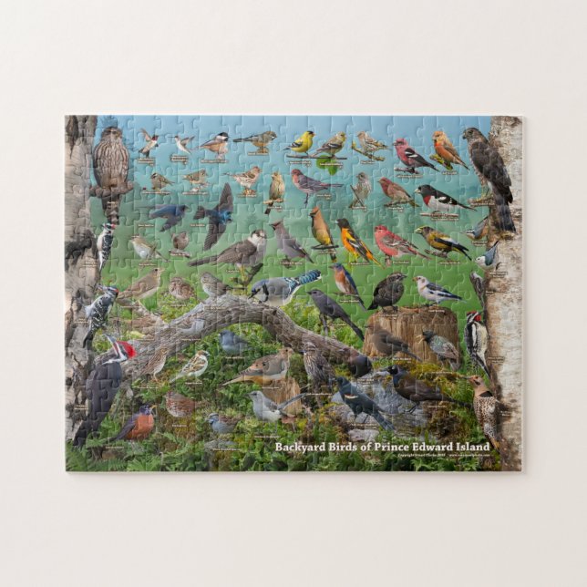 Backyard Birds of Prince Edward Island Jigsaw Puzzle (Horizontal)