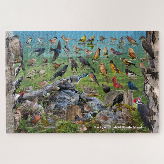 Backyard Birds of Rhode Island Jigsaw Puzzle (Horizontal)