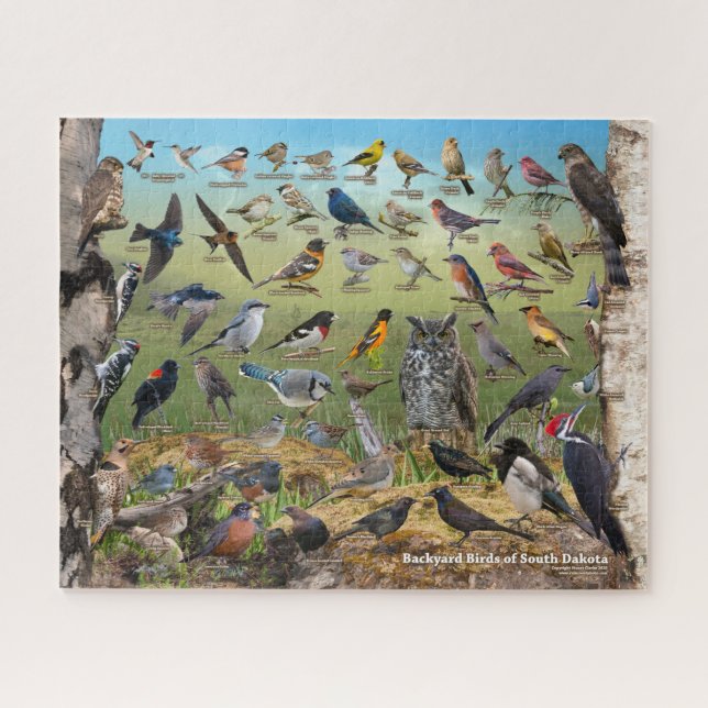 Backyard Birds of South Dakota Jigsaw Puzzle (Horizontal)