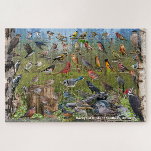 Backyard Birds of Southern Ontario Jigsaw Puzzle