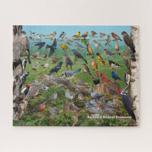 Backyard Birds of Tennessee Jigsaw Puzzle