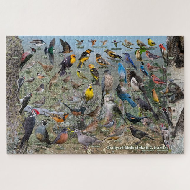 Backyard Birds of the BC Interior Jigsaw Puzzle (Horizontal)