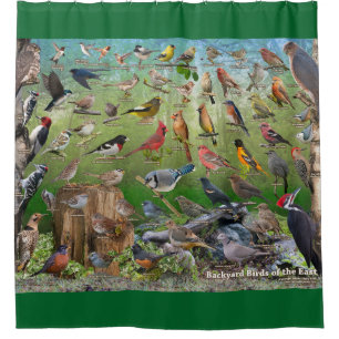 Backyard Birds of the East Shower Curtain