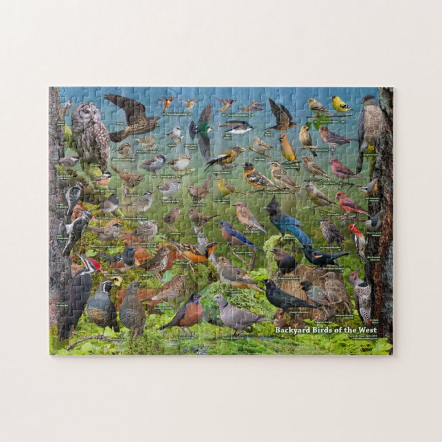 Backyard Birds of the West Jigsaw Puzzle (Horizontal)