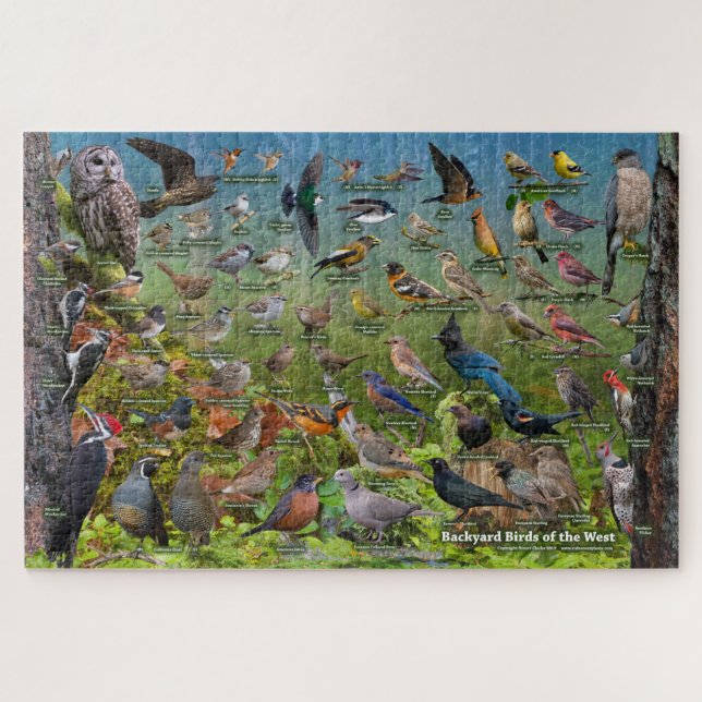 Backyard Birds of the West Puzzle (Horizontal)