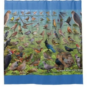 Backyard Birds of the West Shower Curtain