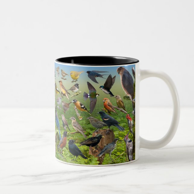 Backyard Birds Of the West Two-Tone Coffee Mug (Right)