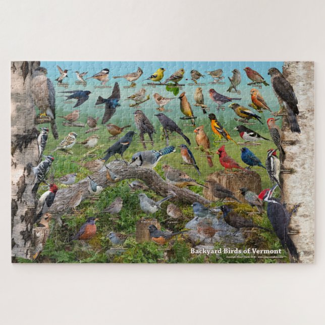 Backyard Birds of Vermont Jigsaw Puzzle (Horizontal)
